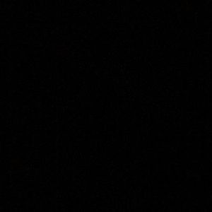 Meet your Posher, Salma